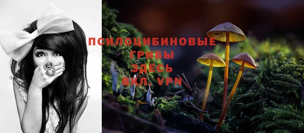 первитин Абинск