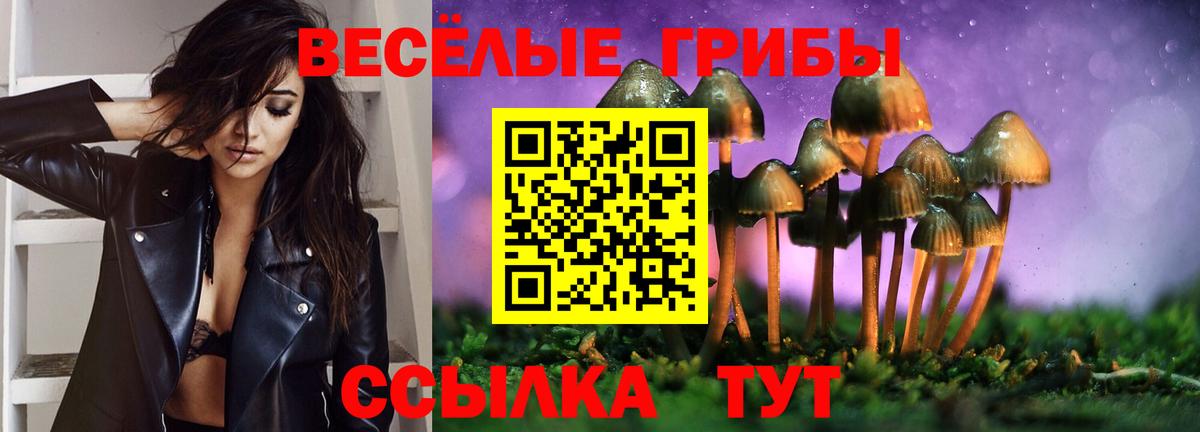 Нижневартовск  Галлюциногенные грибы ЛСД  Вход с VPN 